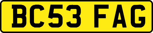 BC53FAG