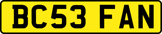 BC53FAN