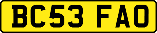 BC53FAO