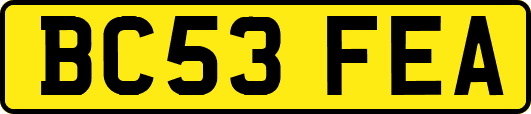 BC53FEA