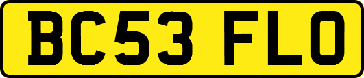 BC53FLO