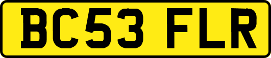BC53FLR