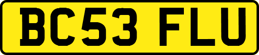 BC53FLU