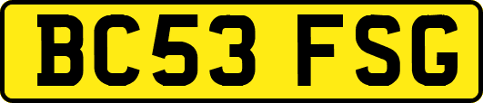BC53FSG