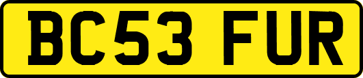 BC53FUR