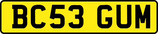BC53GUM