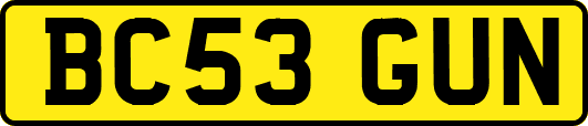 BC53GUN