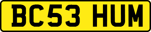 BC53HUM