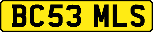 BC53MLS