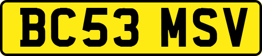 BC53MSV