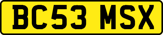 BC53MSX