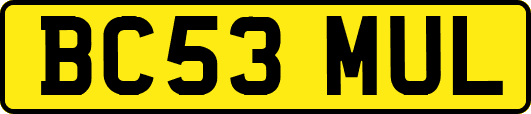 BC53MUL