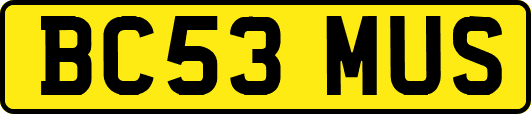BC53MUS