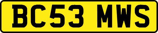 BC53MWS