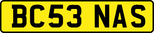BC53NAS