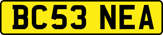 BC53NEA