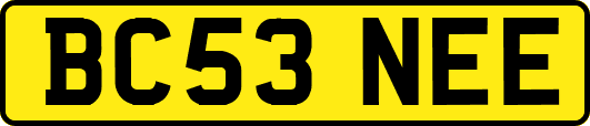 BC53NEE