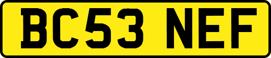 BC53NEF