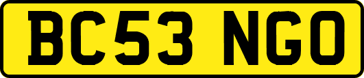 BC53NGO