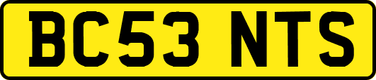 BC53NTS