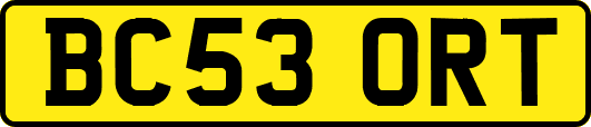 BC53ORT