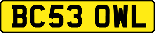BC53OWL