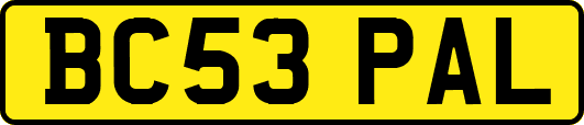 BC53PAL