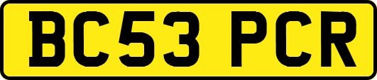 BC53PCR