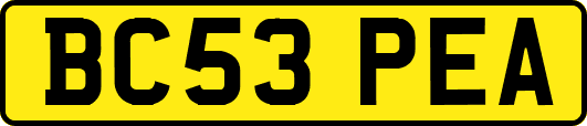 BC53PEA