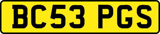 BC53PGS