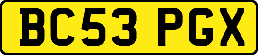BC53PGX
