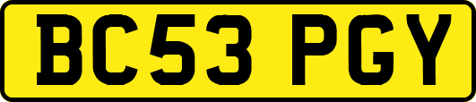 BC53PGY