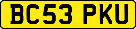 BC53PKU