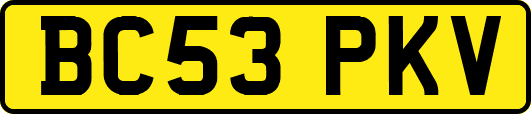 BC53PKV