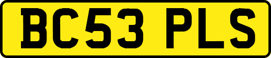 BC53PLS