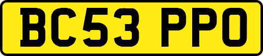 BC53PPO