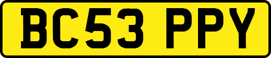 BC53PPY