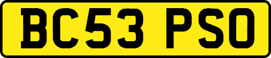 BC53PSO