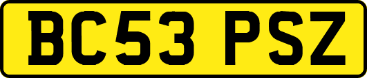 BC53PSZ
