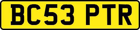 BC53PTR
