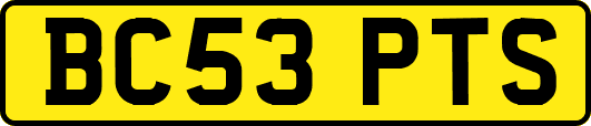 BC53PTS