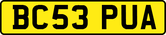 BC53PUA
