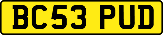 BC53PUD