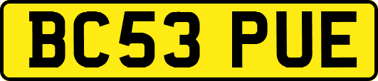 BC53PUE