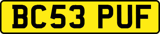 BC53PUF