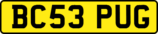 BC53PUG