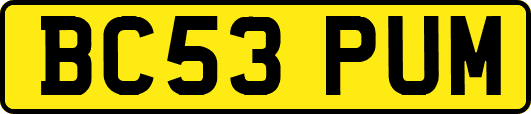 BC53PUM