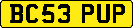 BC53PUP