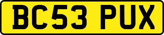 BC53PUX