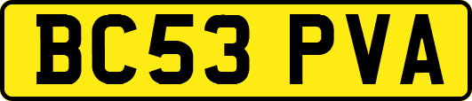 BC53PVA